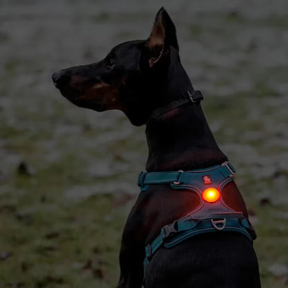 Pet Outdoor Waterproof Safety LEDLIGHT Flash Light Pet Accessories Dog Products TLD19103